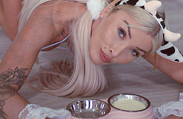 petgirl prada