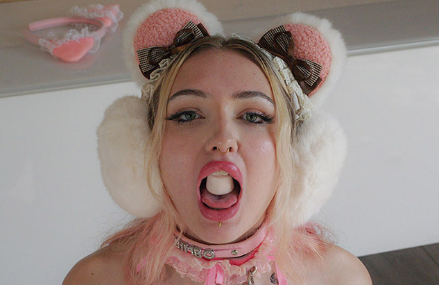 petgirl kitty